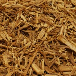 Banisteriopsis Caapi - Peruanische schwarze Ayahuasca-Rebe