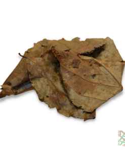 Colombiaanse Putumayo Chaliponga | Diplopterys Cabrerana | | Maya