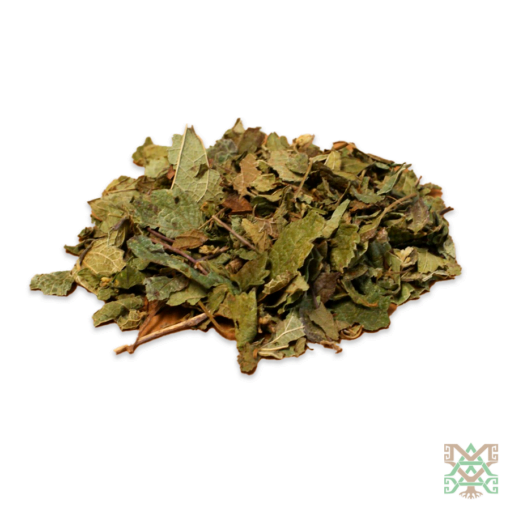 Dreamherb (Calea Zacatechichi) - Leaves and Flowers