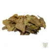 Guayusa (Ilex guayusa) – ganze Blätter