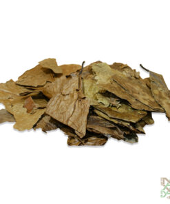 Guayusa (Ilex guayusa)- Whole Leaves