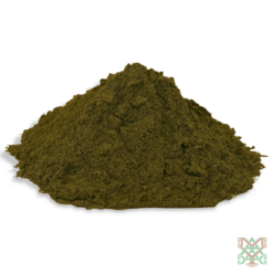 Ginkgo biloba