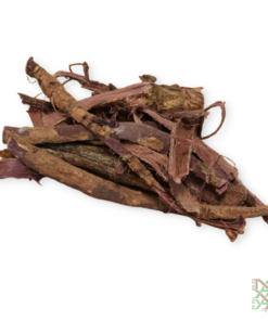Jurema | Brazilian Root Bark | Mimosa Hostilis | Maya Ethno