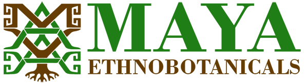 Maya Etnobotanica