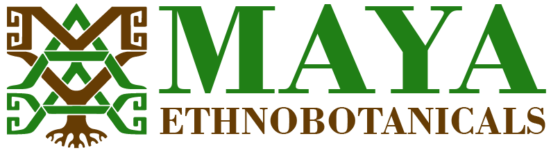 Etnobotánica maya
